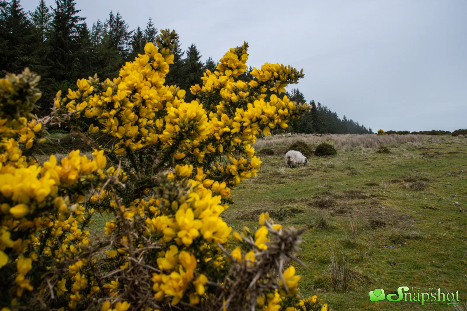 Irland