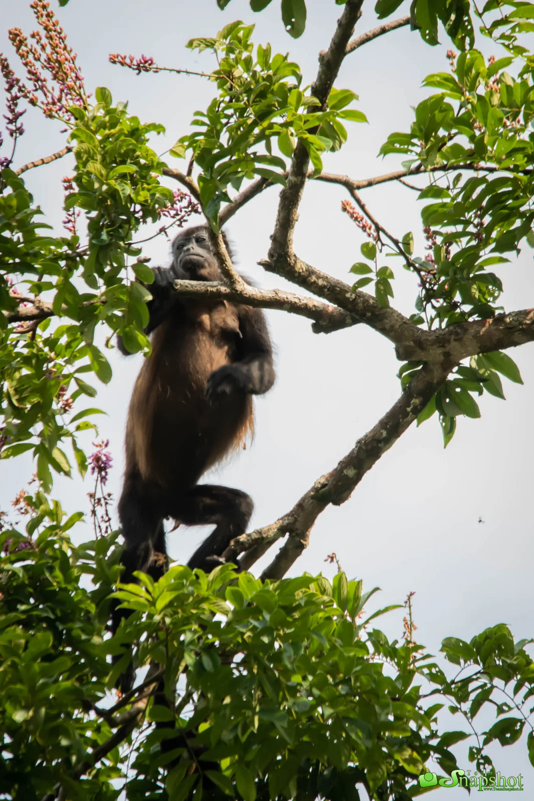 Costa Rica
