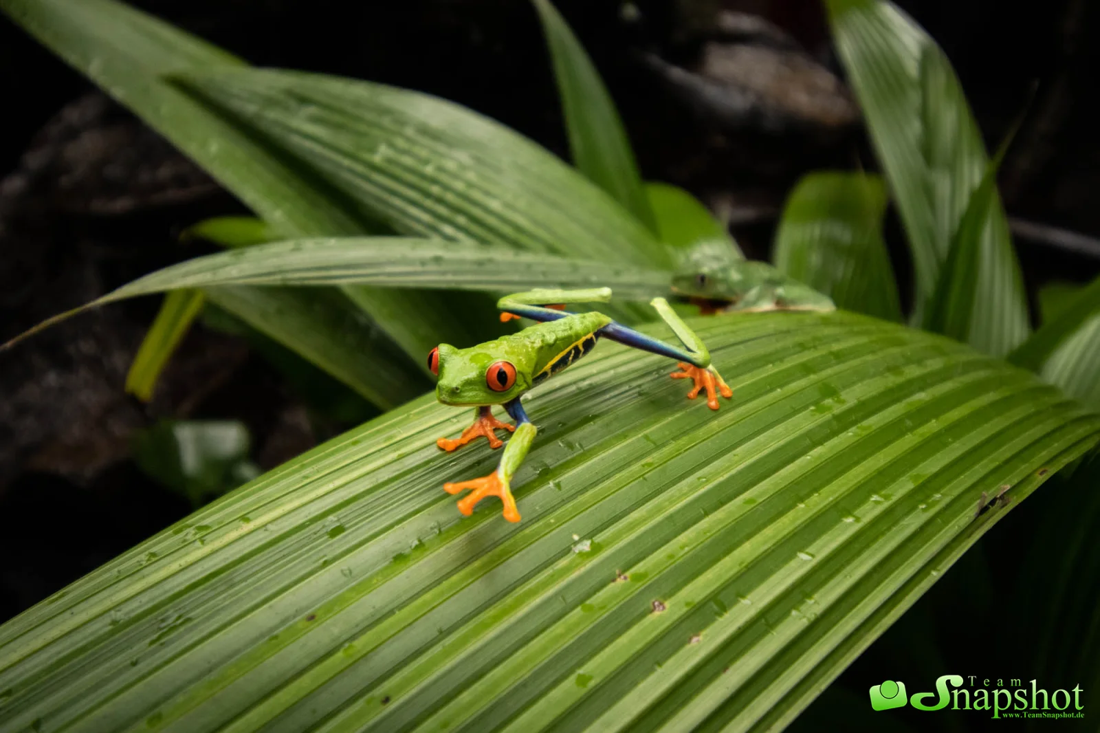 Costa Rica