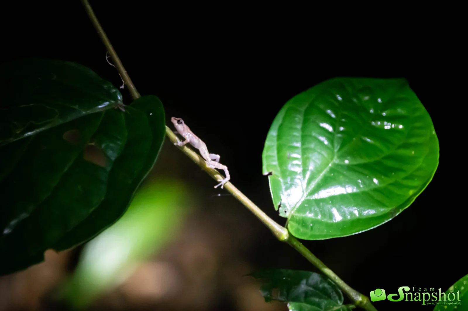 Costa Rica