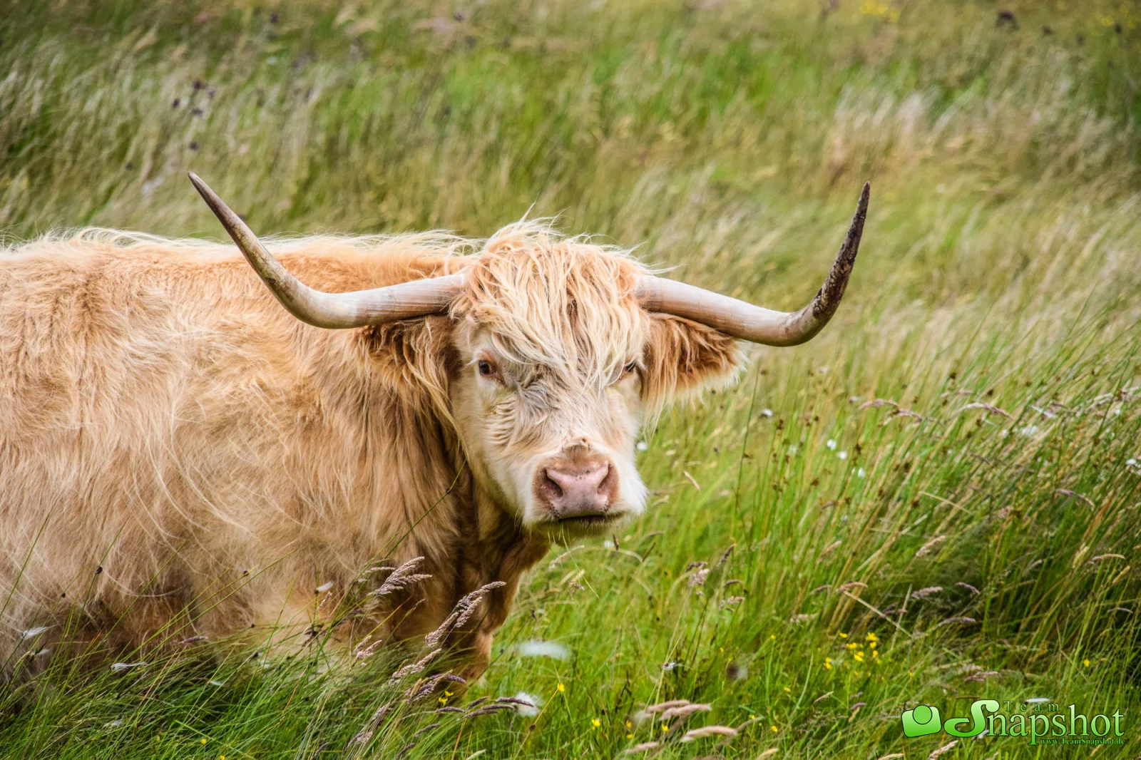 Schottland
