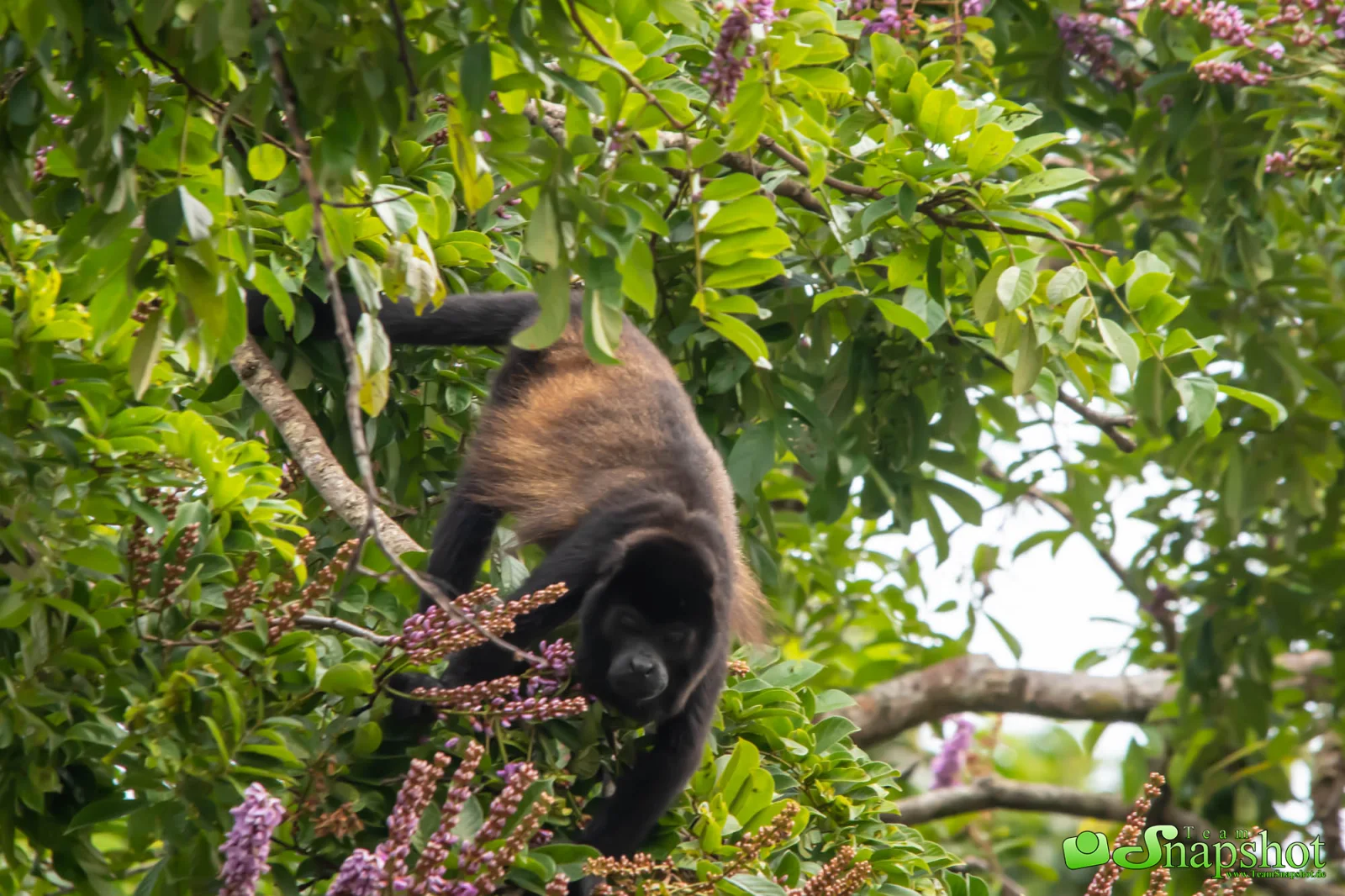 Costa Rica