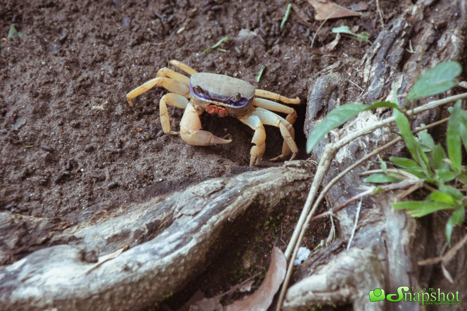 Costa Rica