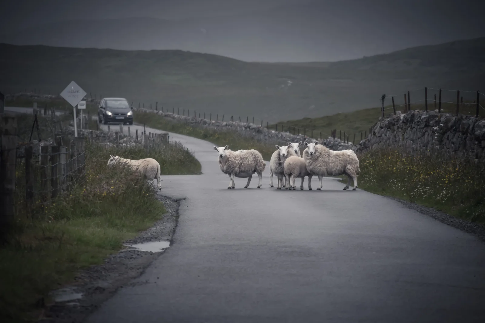 Schottland