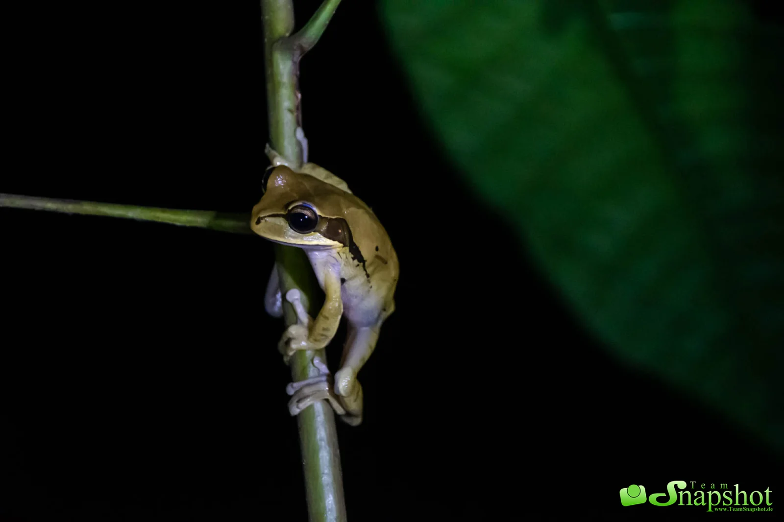 Costa Rica