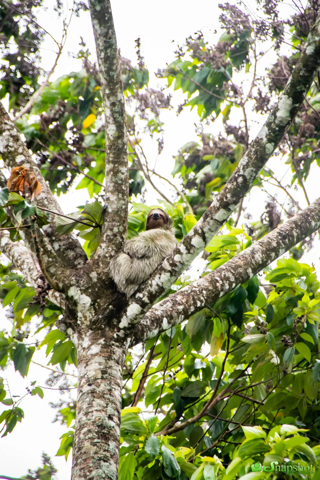 Costa Rica