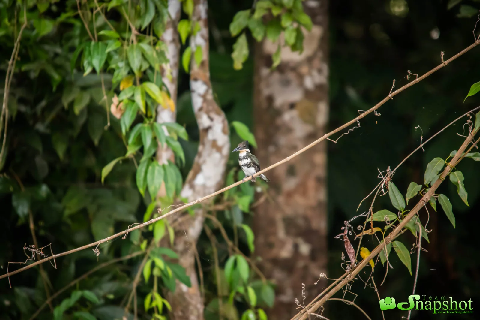 Costa Rica