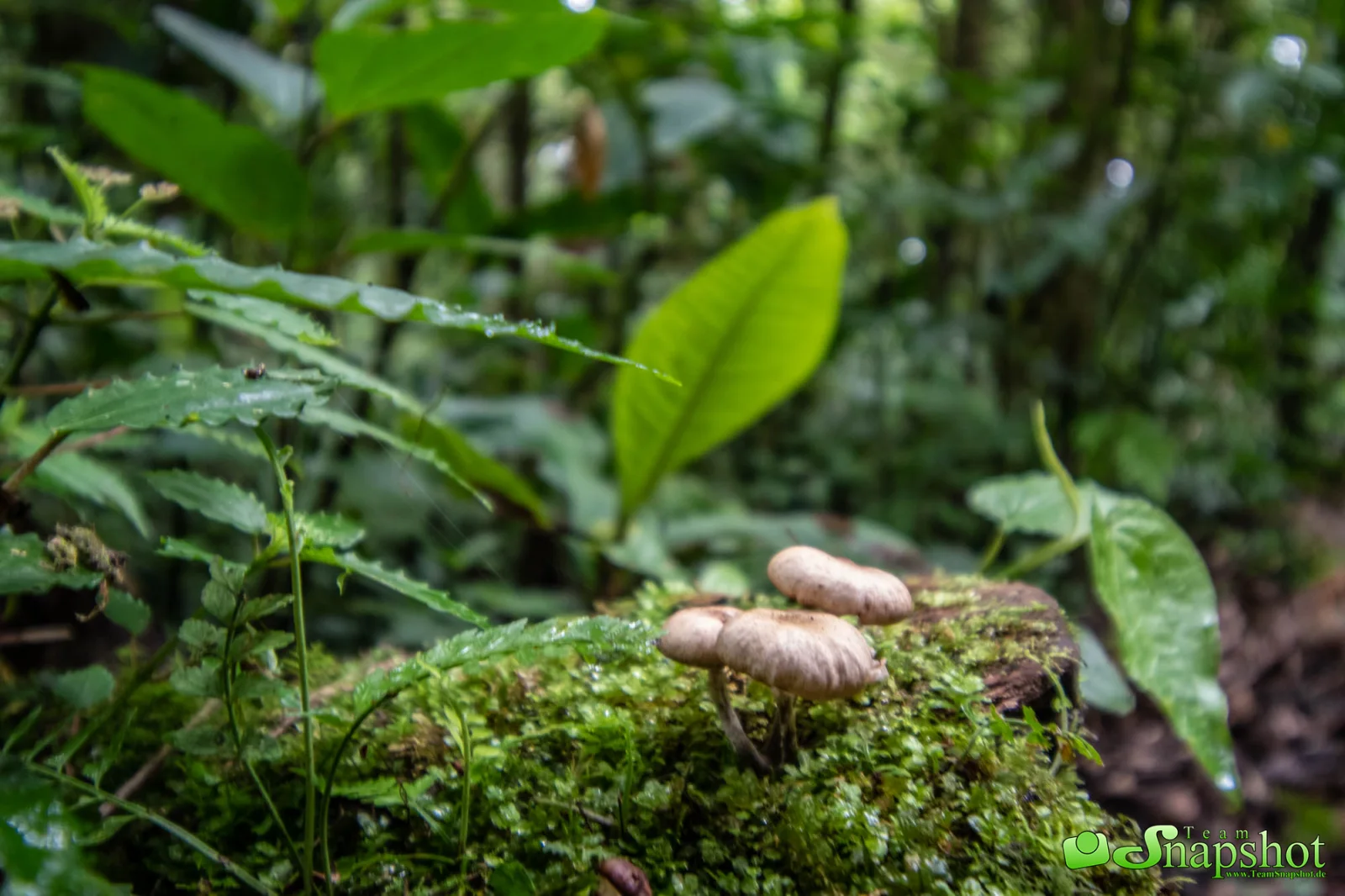 Costa Rica