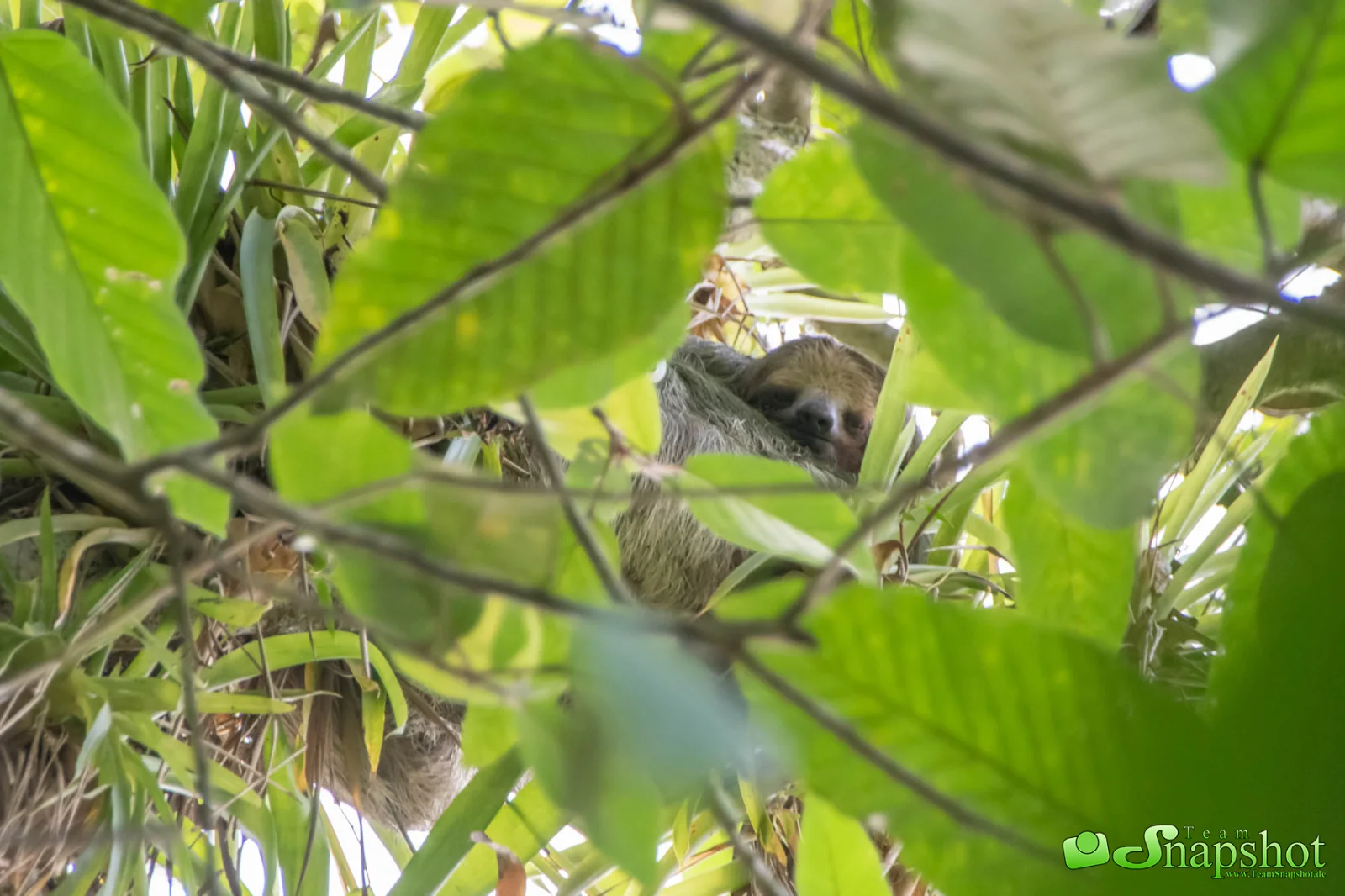 Costa Rica