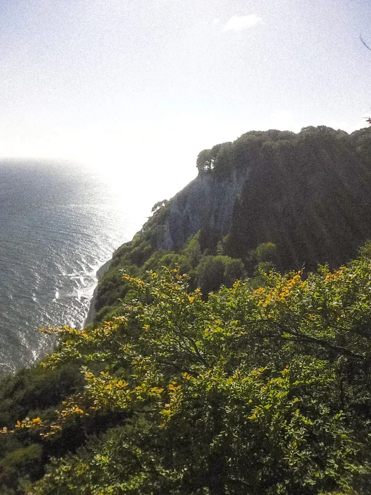 Rügen