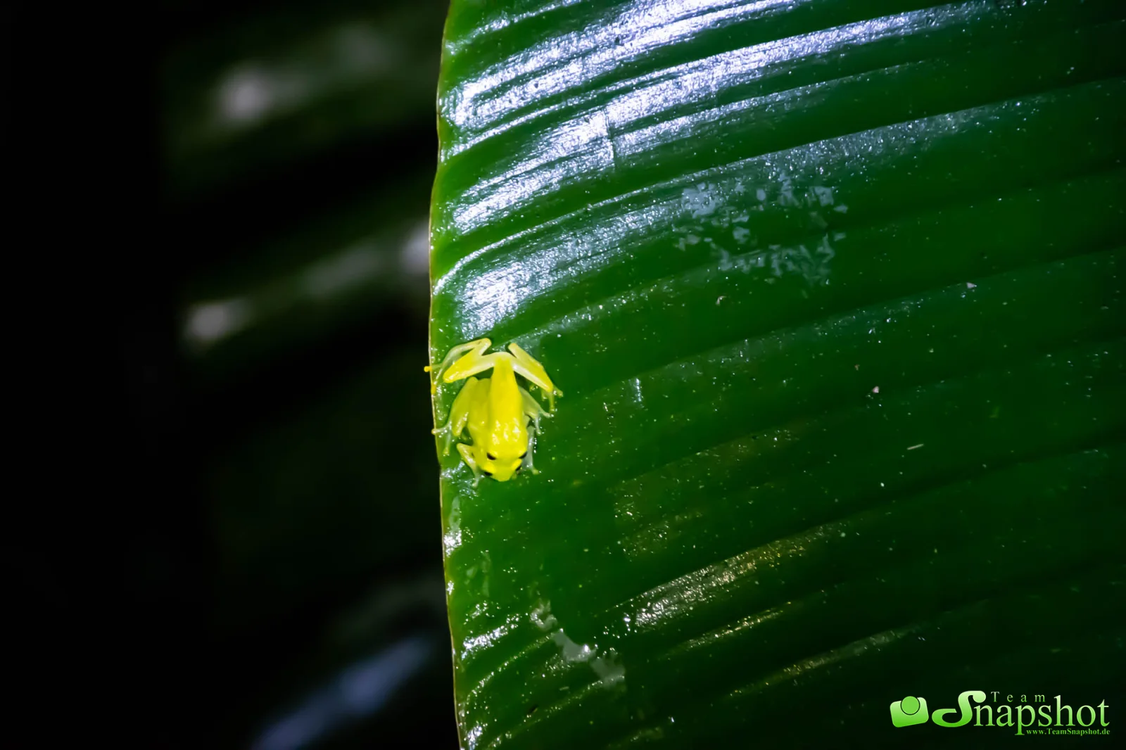Costa Rica