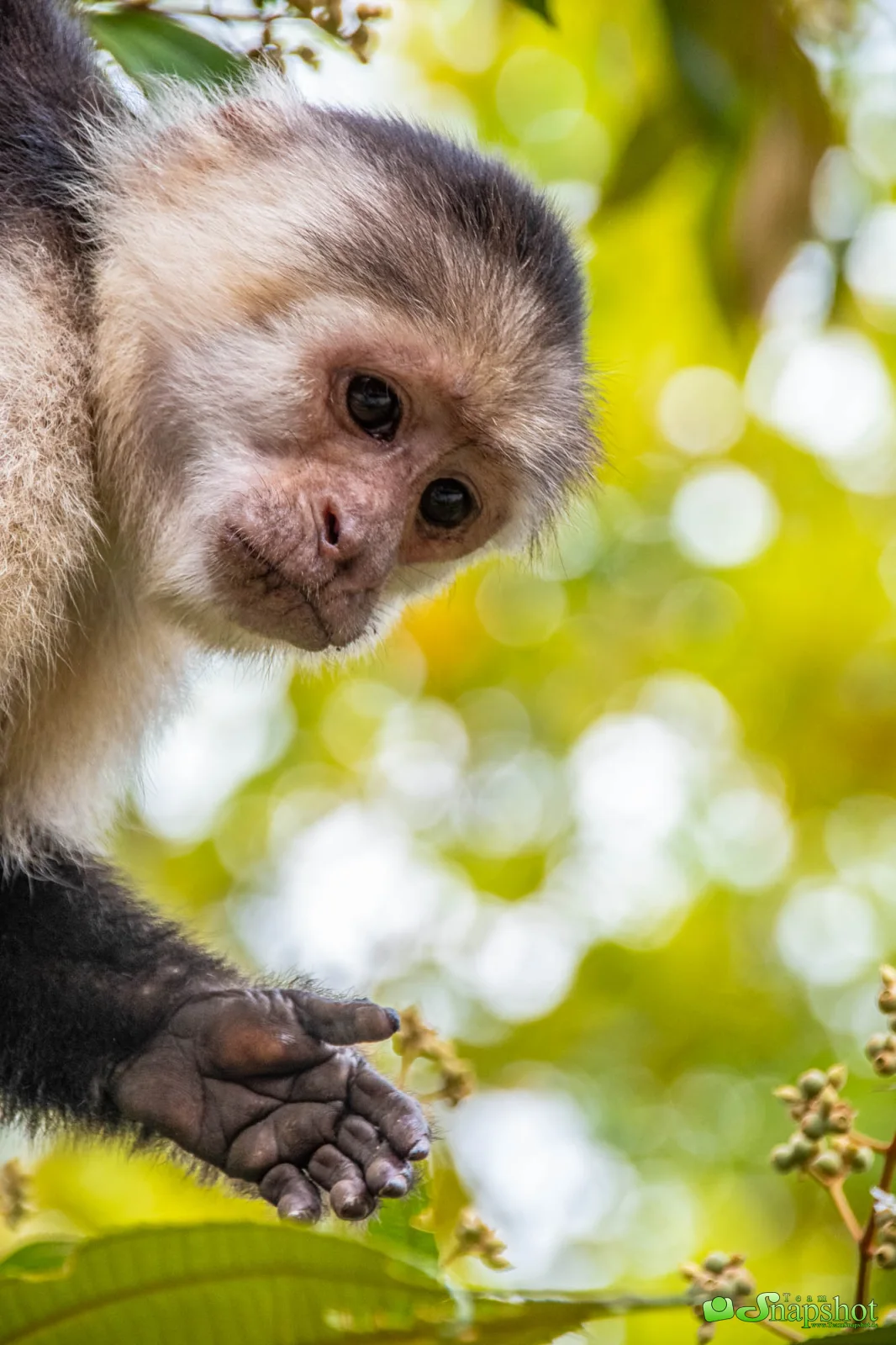 Costa Rica