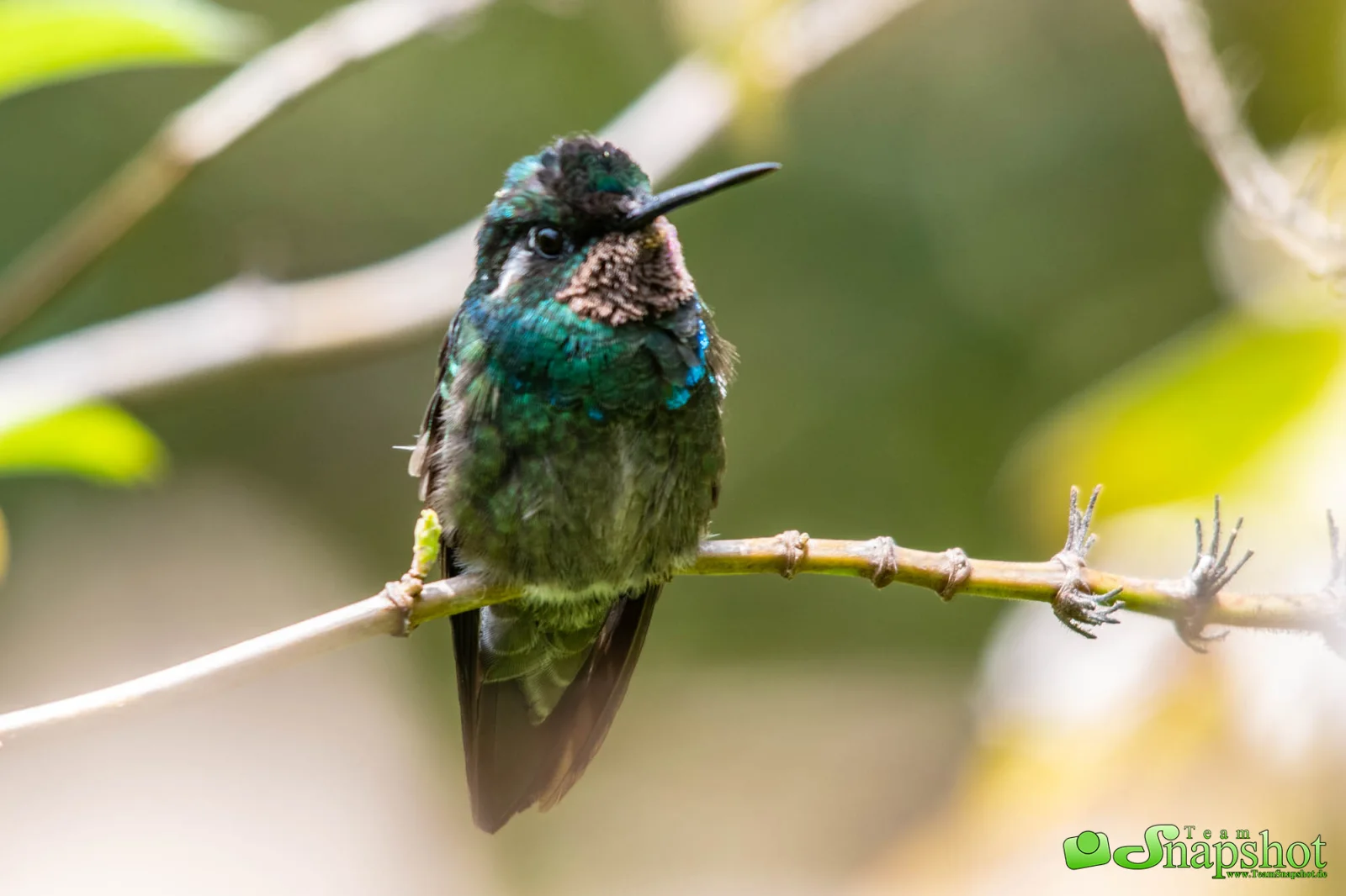 Costa Rica