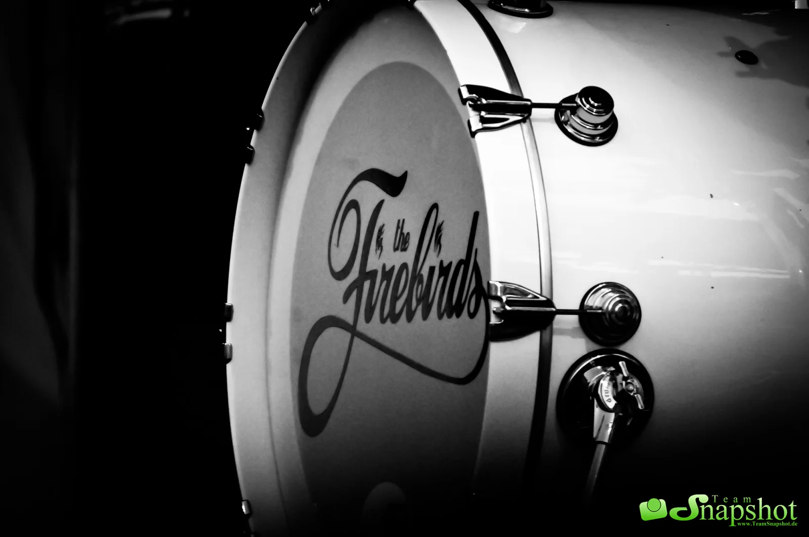 the Firebirds