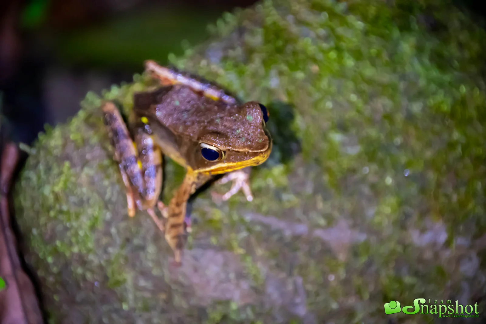 Costa Rica