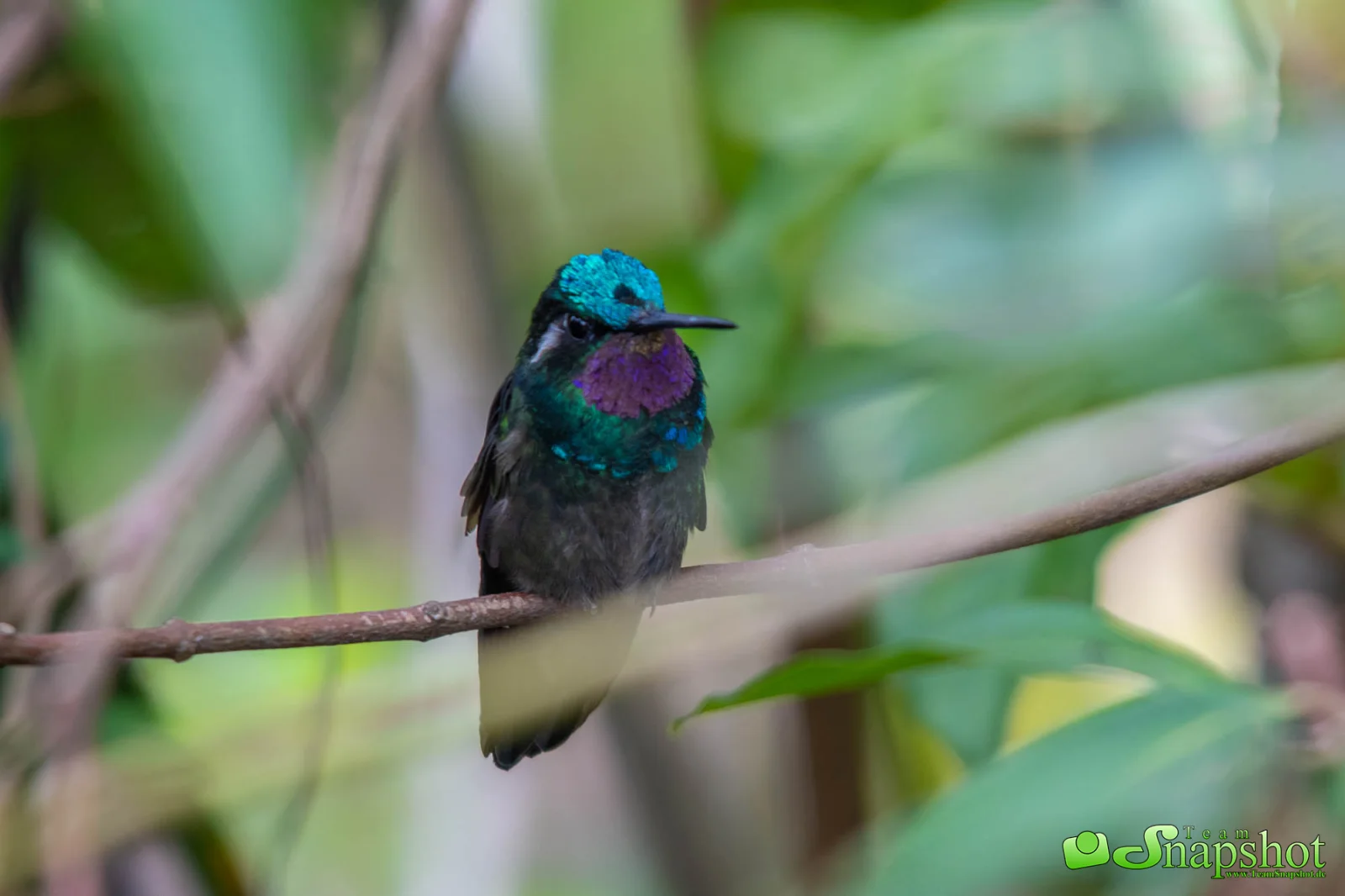 Costa Rica