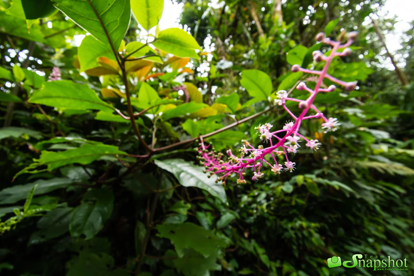 Costa Rica