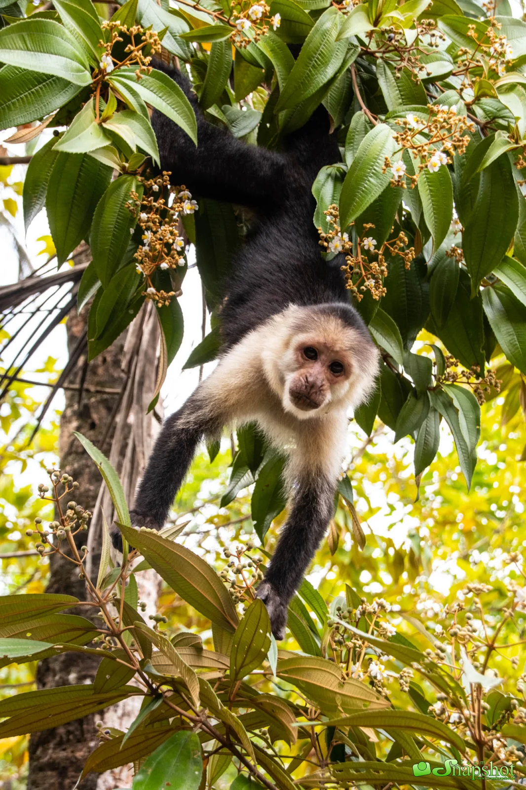 Costa Rica