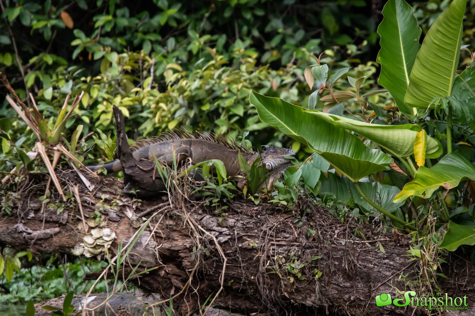 Costa Rica