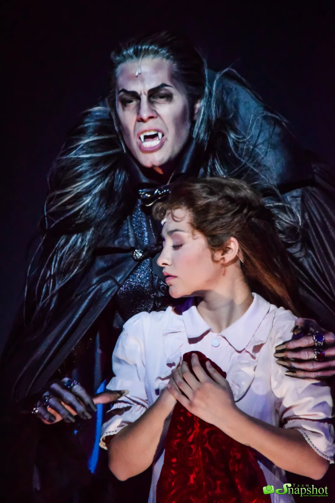 Musical Tanz der Vampire