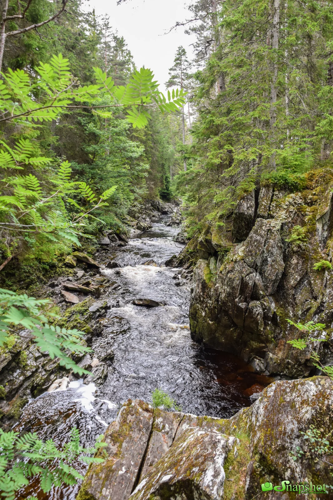 Schottland