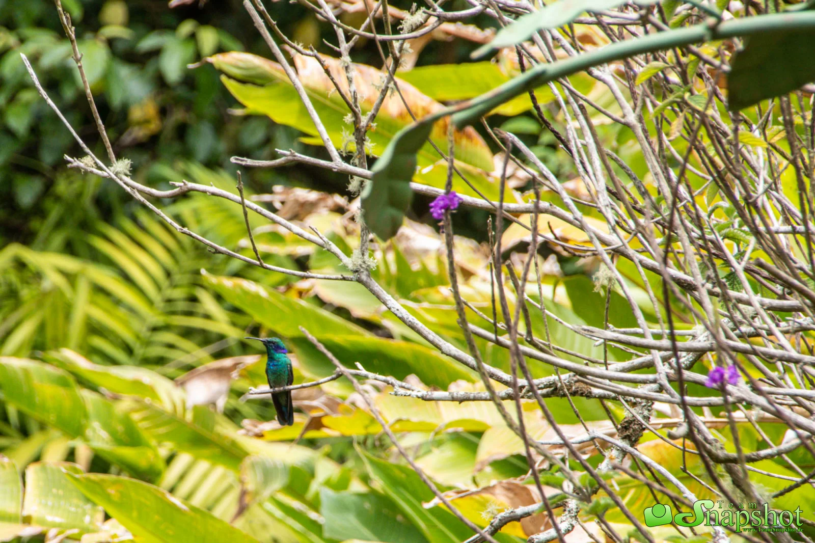 Costa Rica