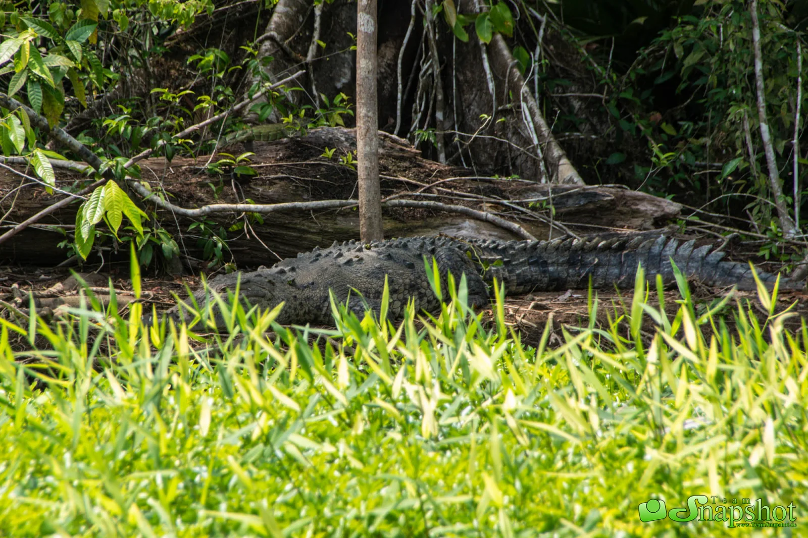 Costa Rica