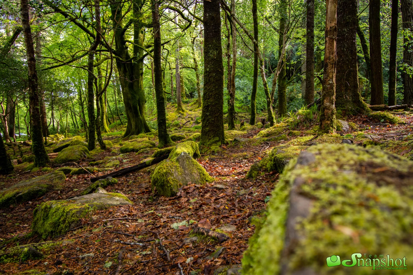 Irland