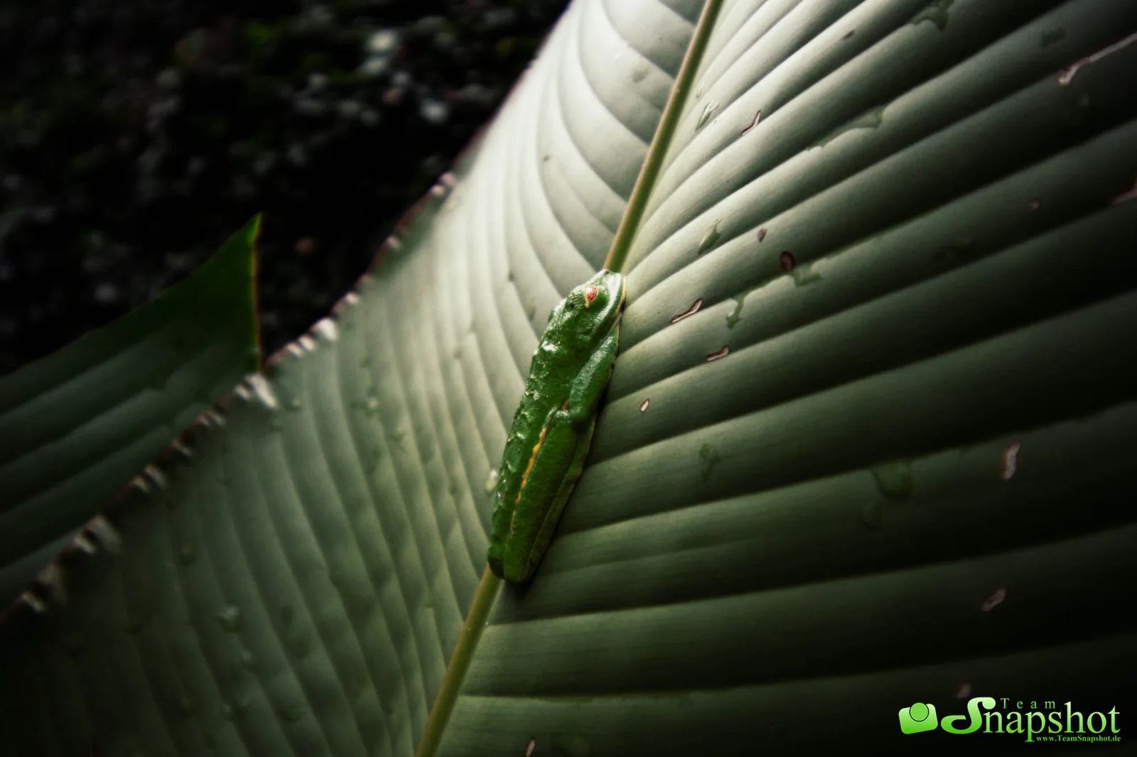 Costa Rica