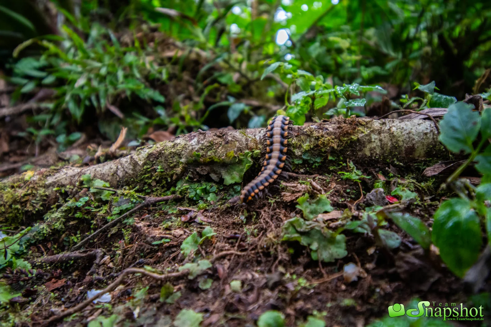 Costa Rica
