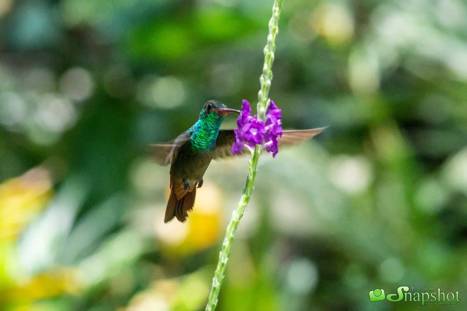 Costa Rica