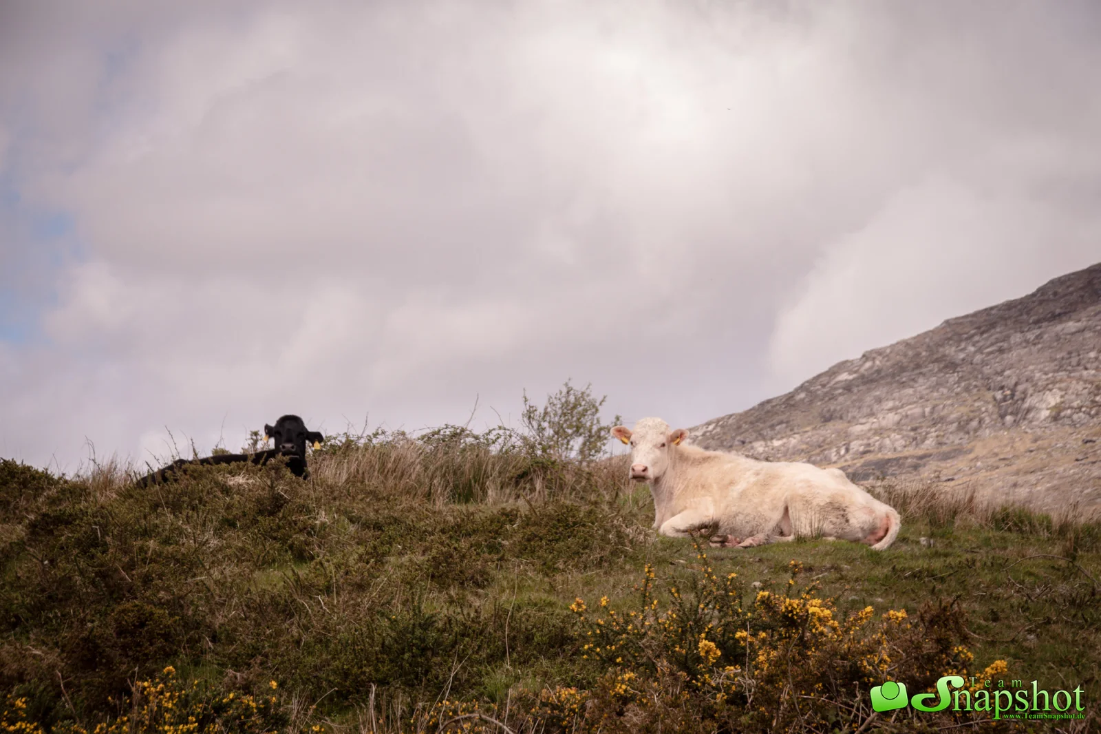 Irland