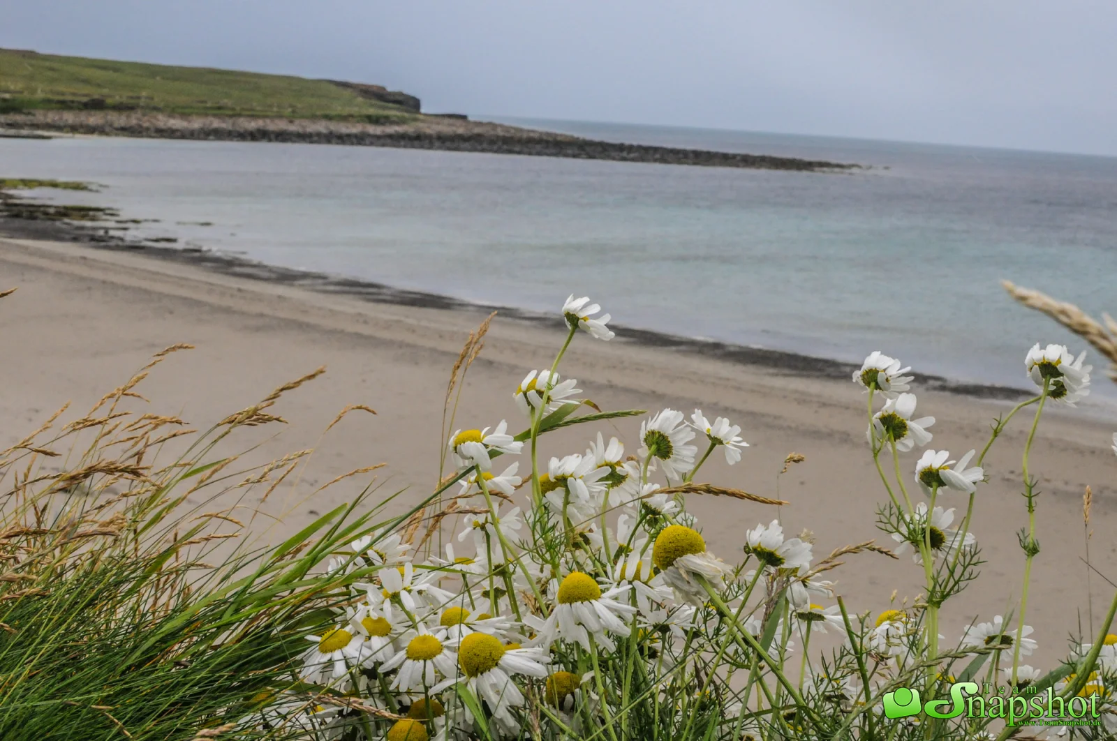 Schottland