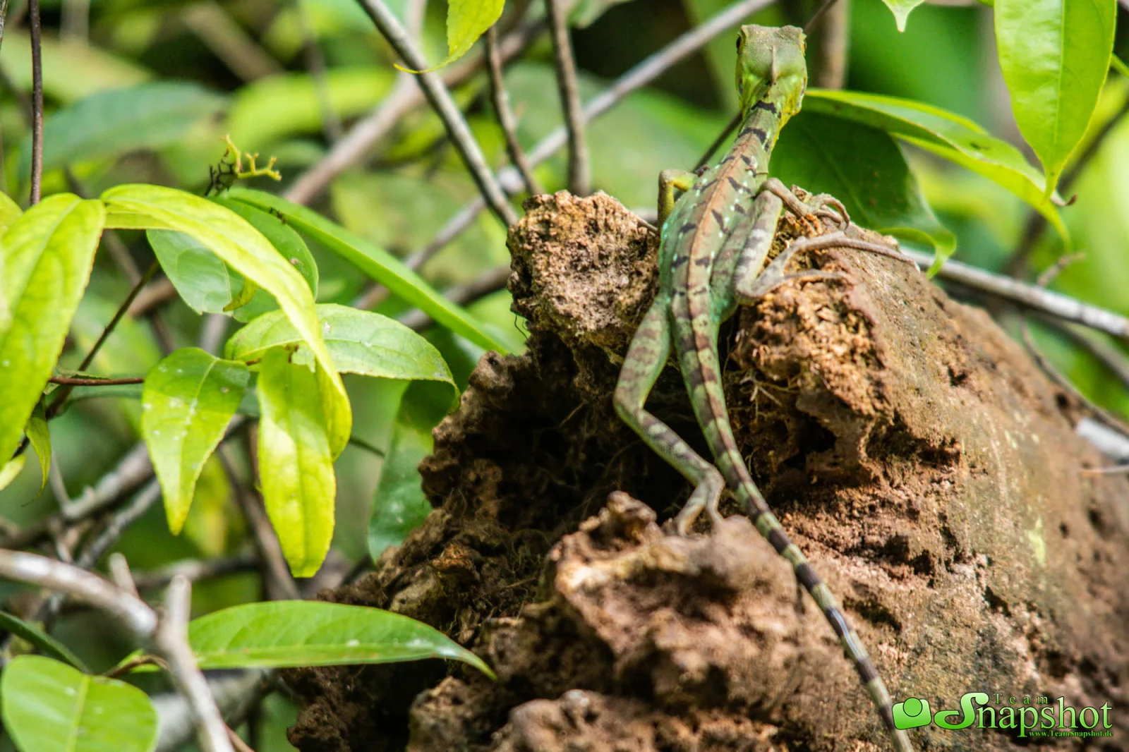 Costa Rica