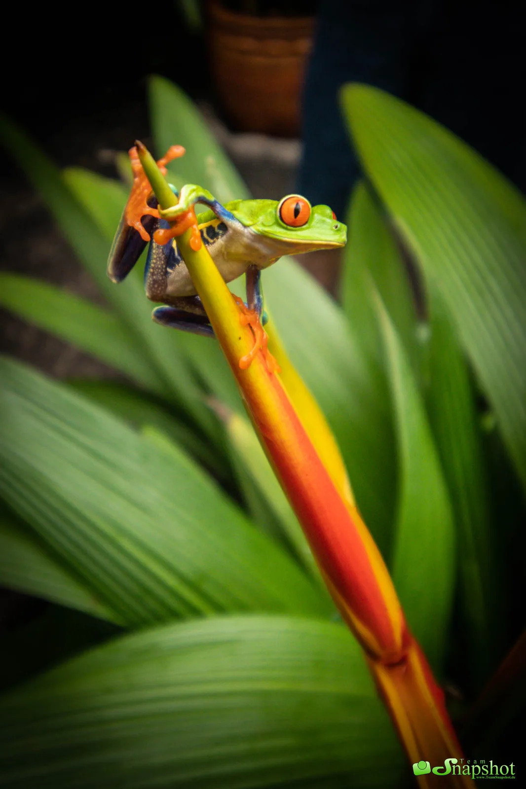 Costa Rica