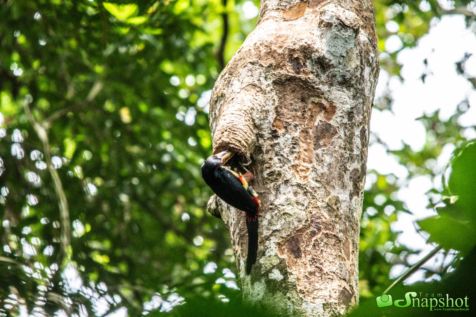 Costa Rica