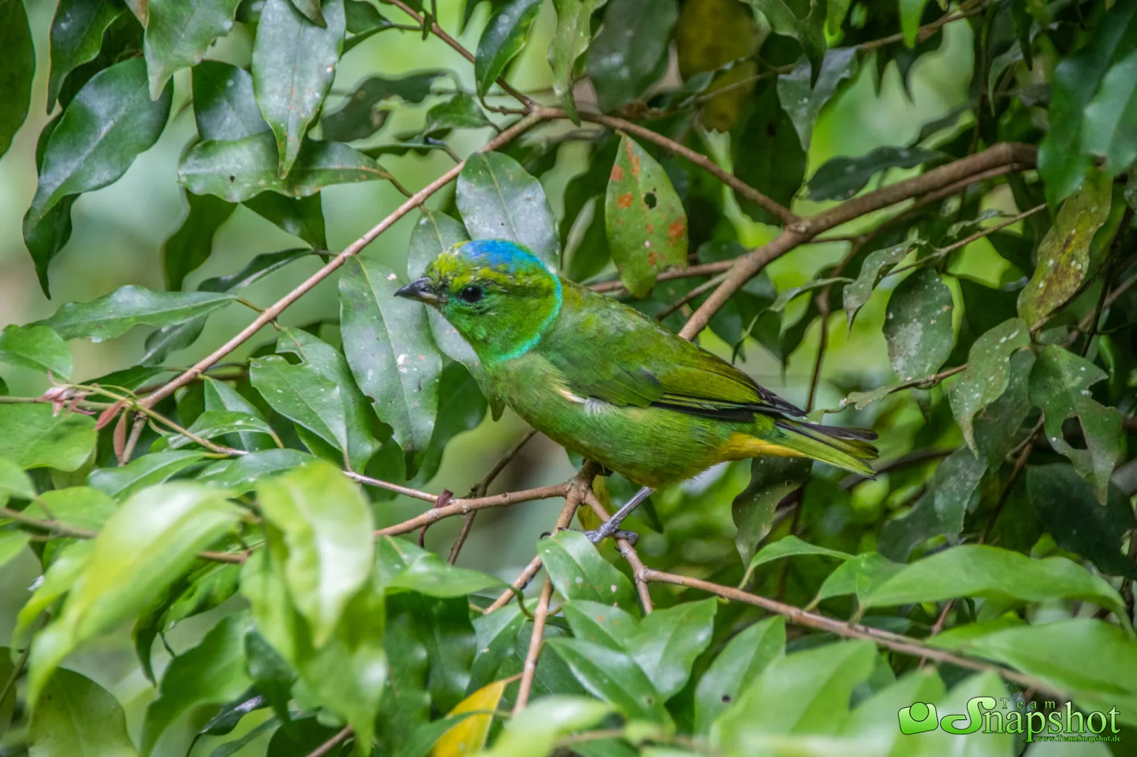 Costa Rica