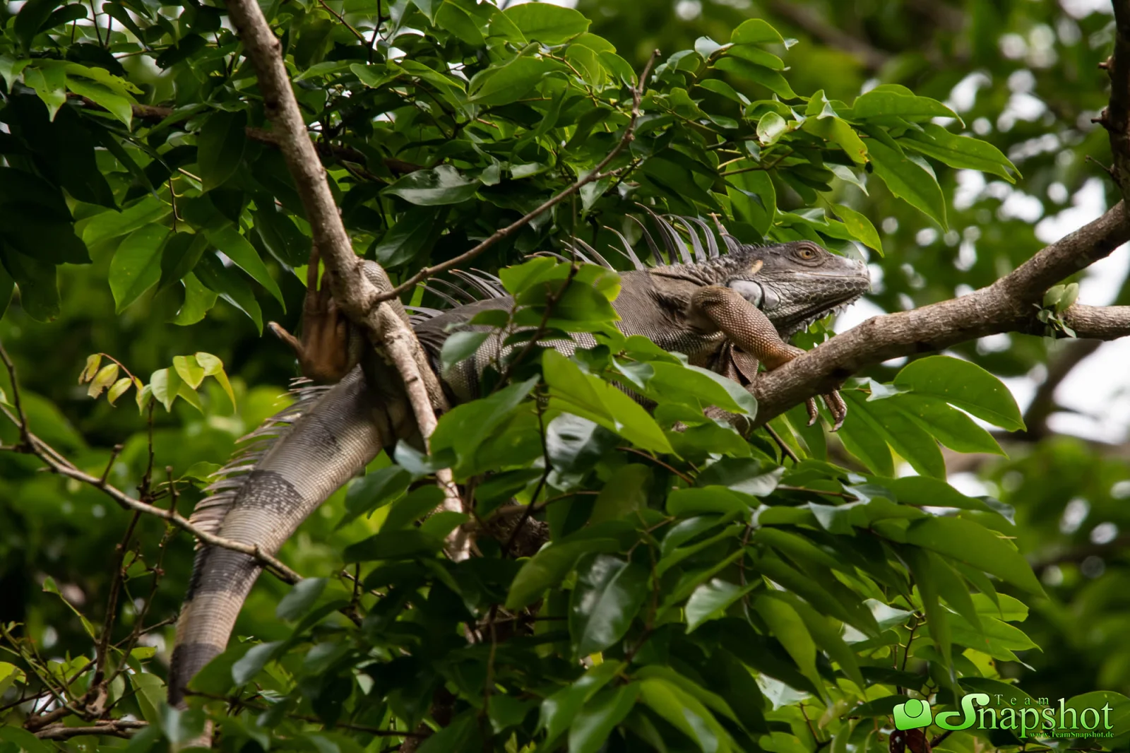 Costa Rica