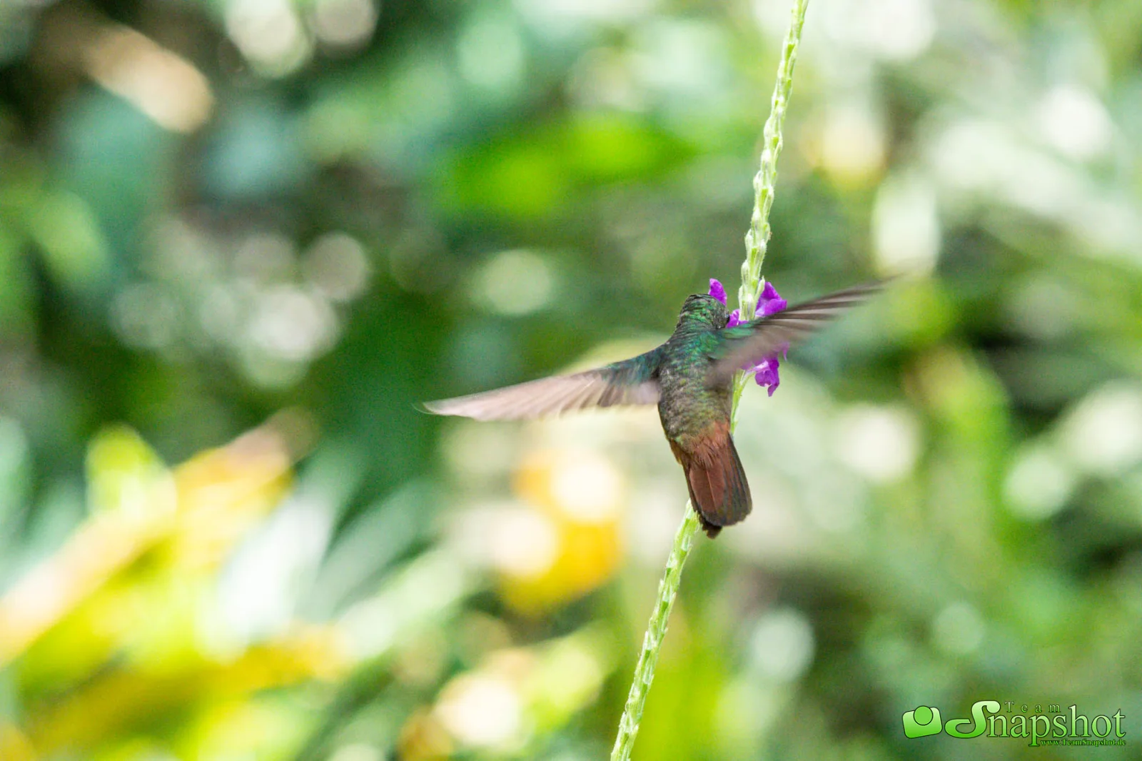 Costa Rica