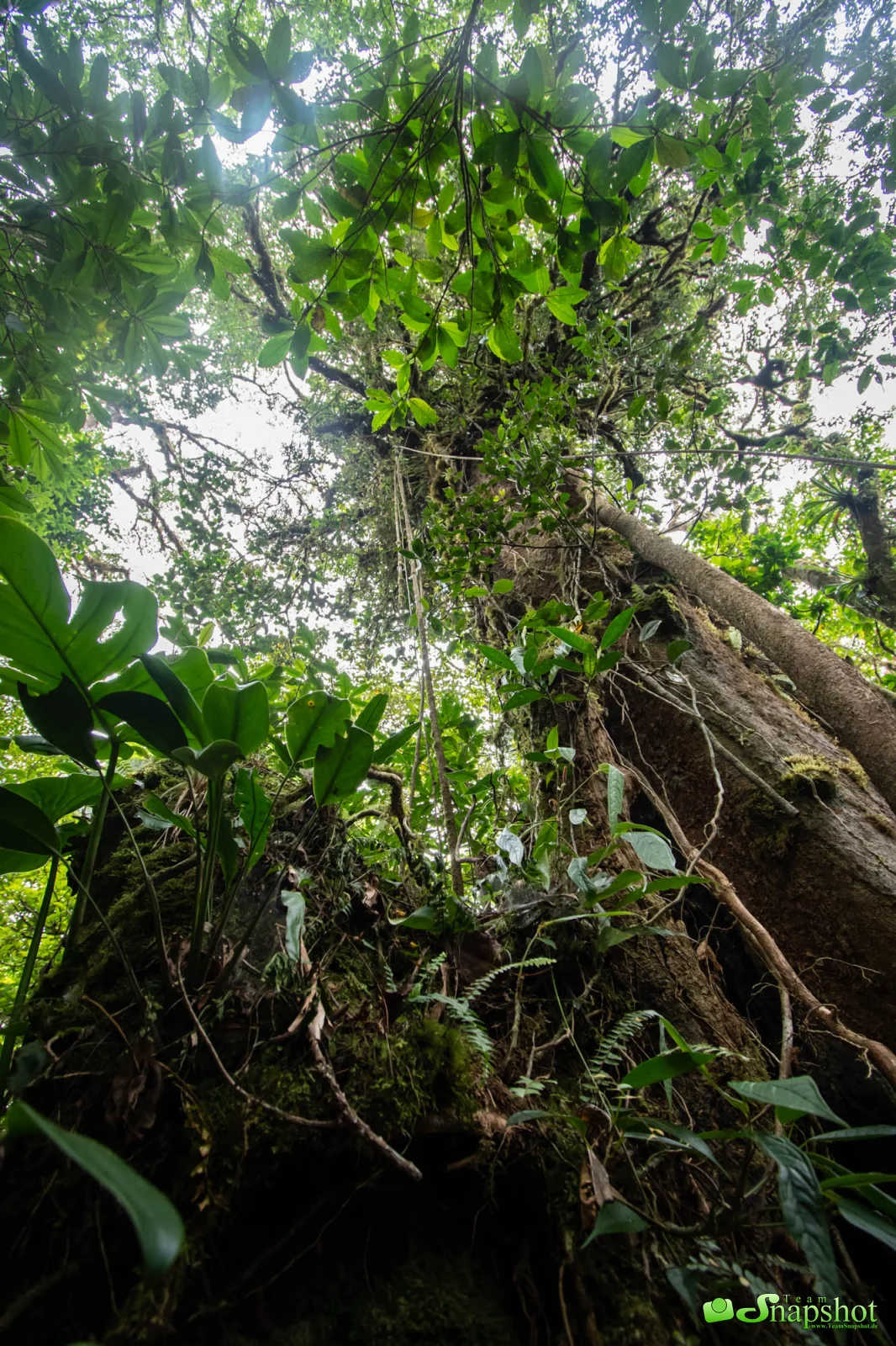 Costa Rica