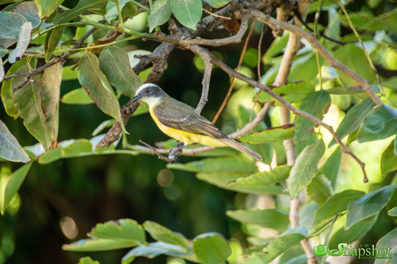 Costa Rica