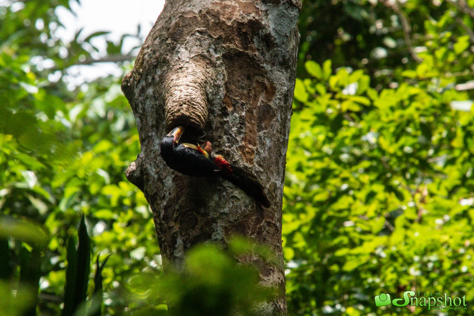 Costa Rica