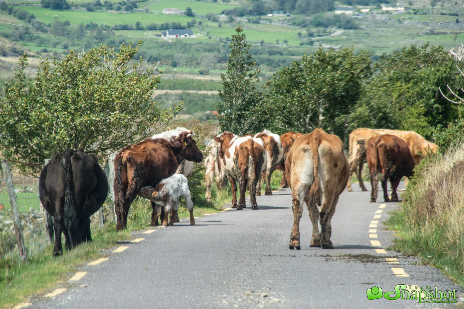 Irland