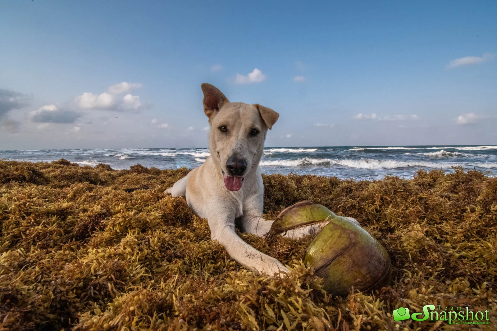 Costa Rica