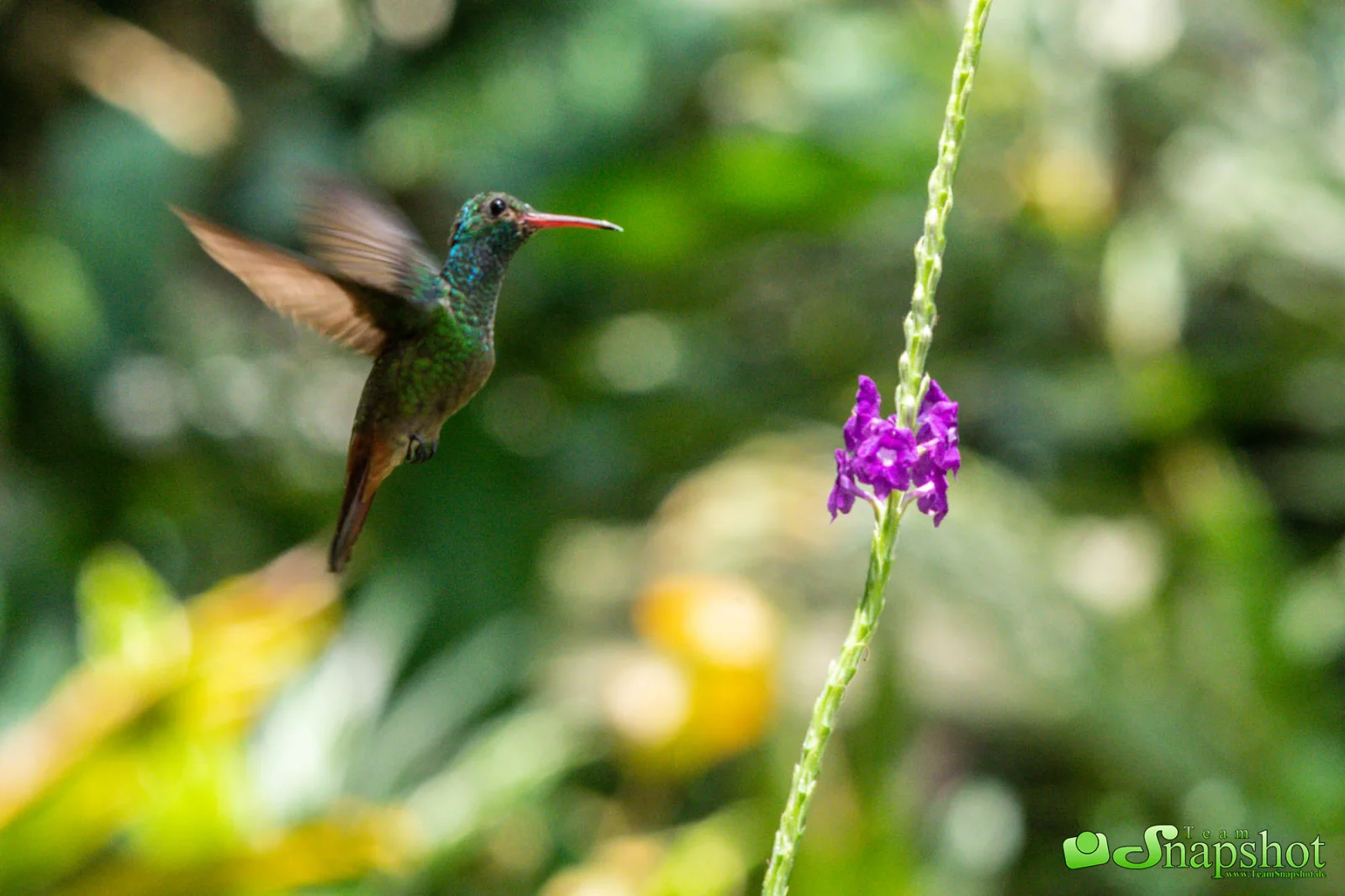 Costa Rica