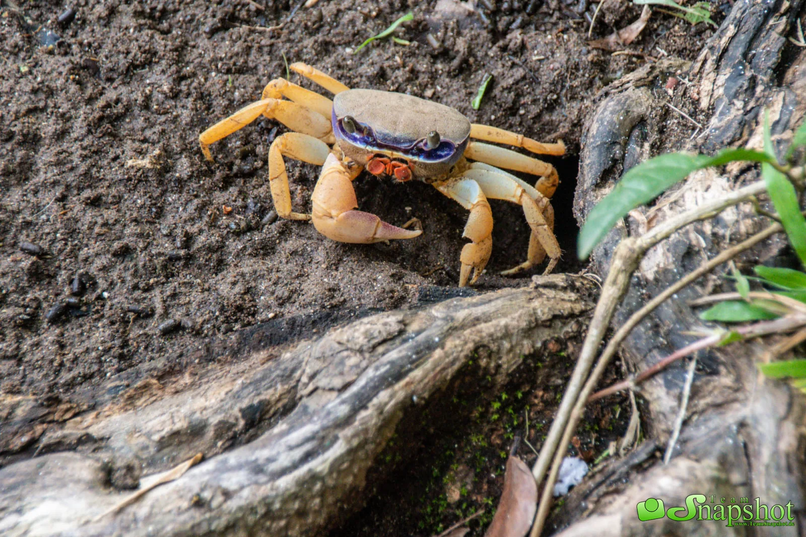 Costa Rica