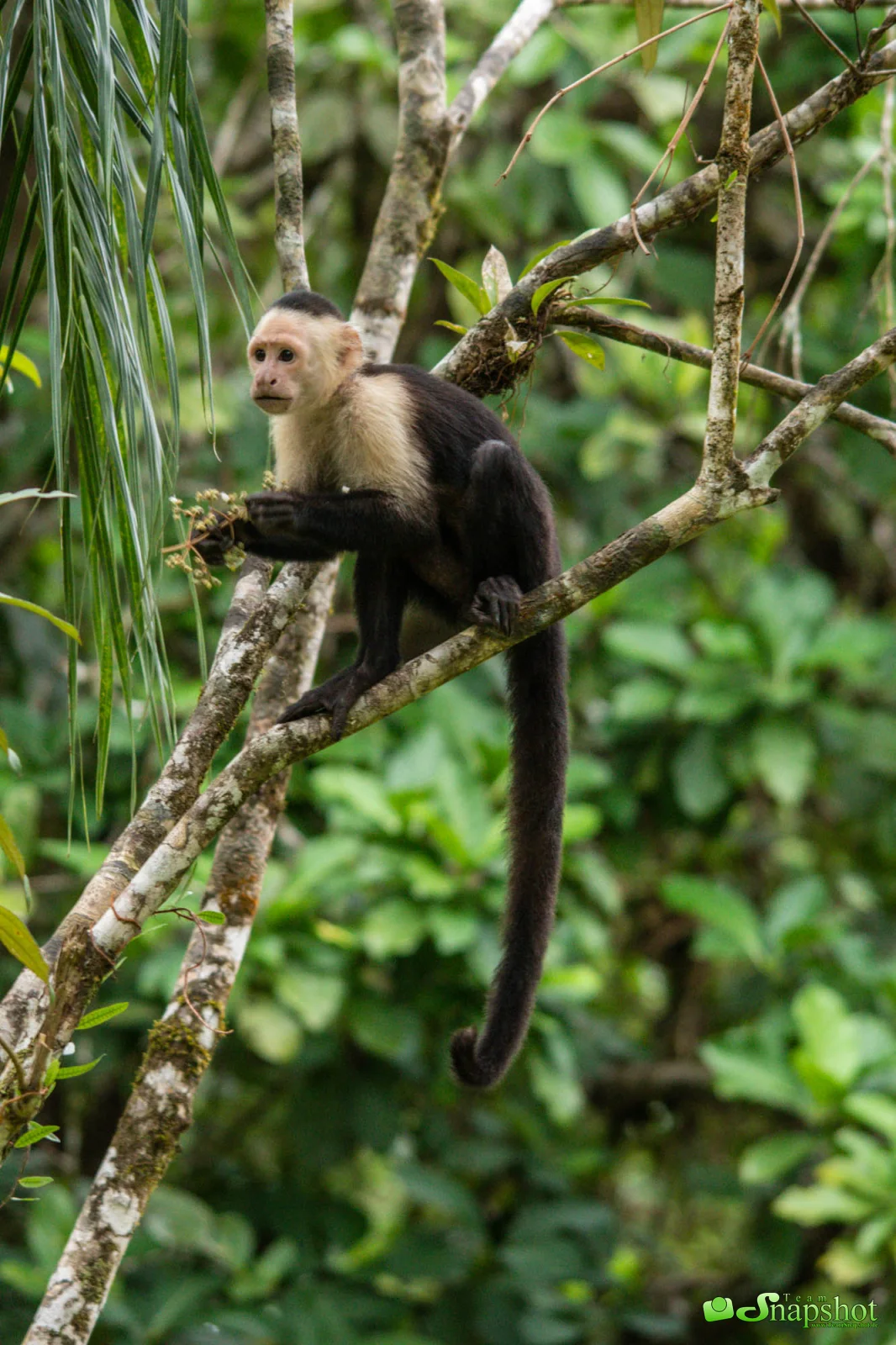 Costa Rica