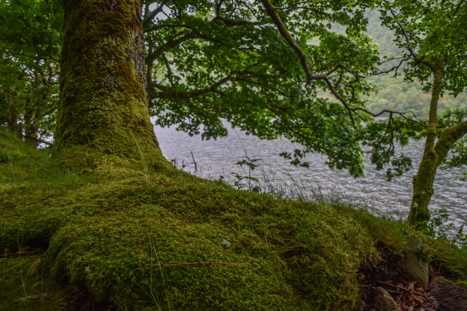 Schottland