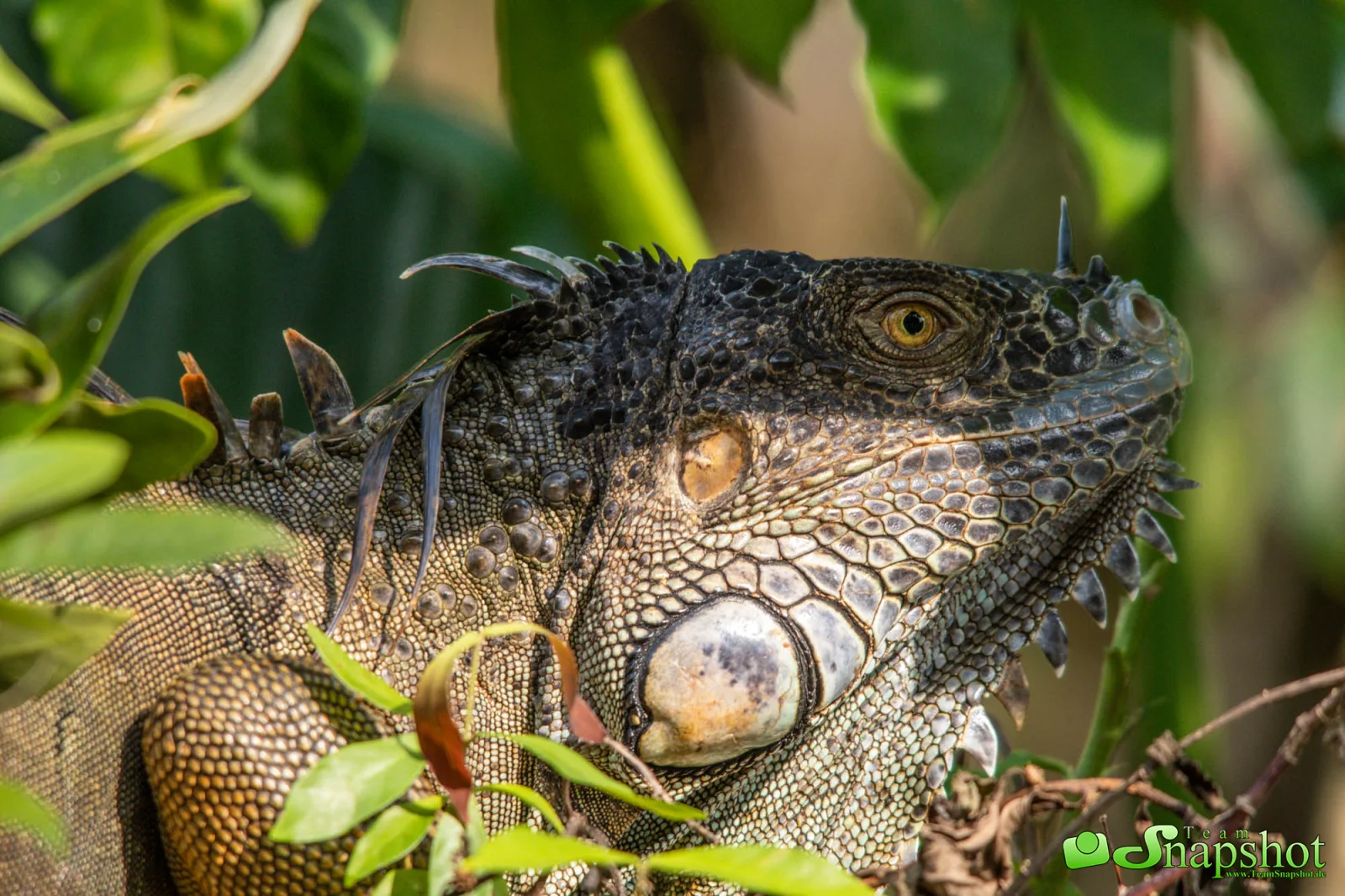 Costa Rica