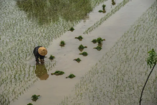 Vietnam